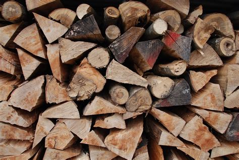 Essentially in exchange for providing the free labor to rid tree services and landscapers of excess wood, subscribers can obtain free wood. . Firewood free